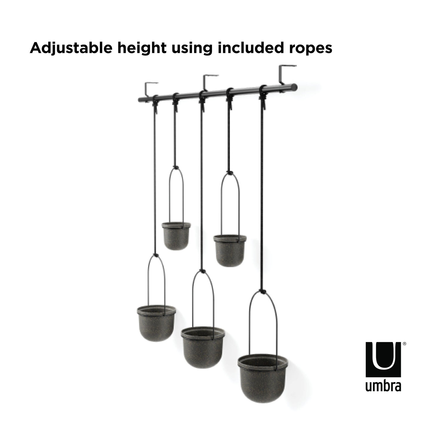 トリフローラ 5カップ ラージ