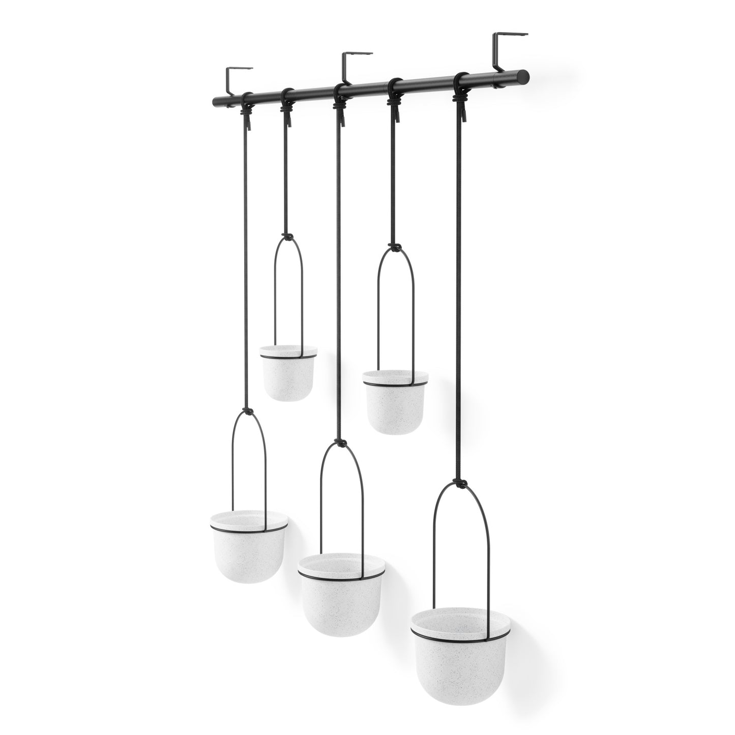 トリフローラ 5カップ ラージ